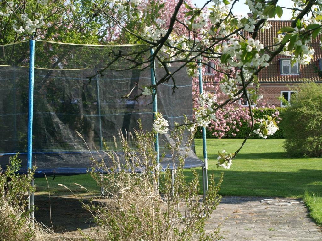 Lolland Nørreballe